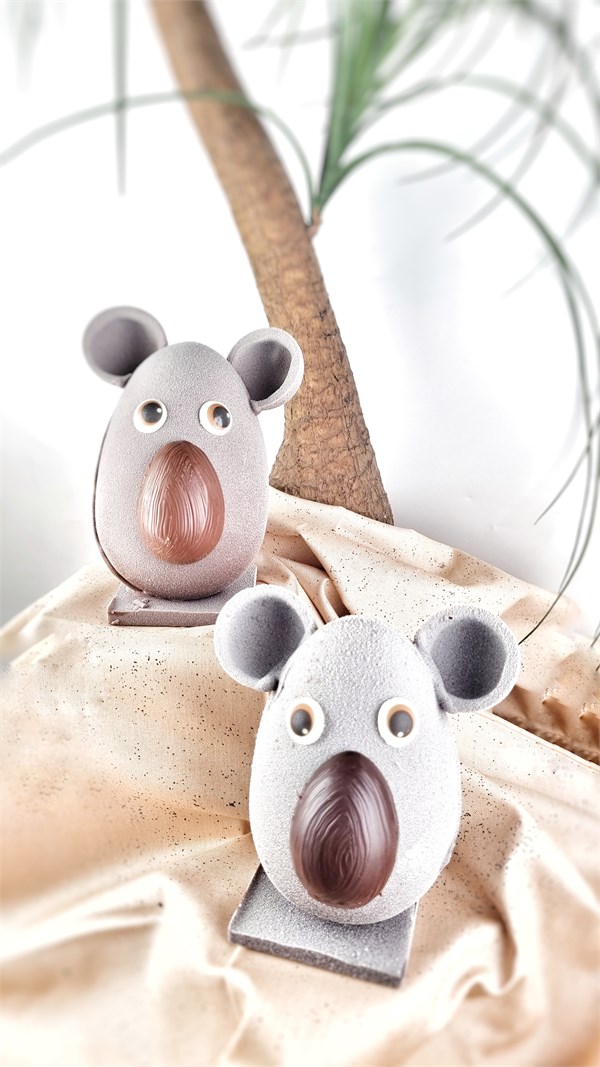 PAQUES 2026   Voyage en Australie !